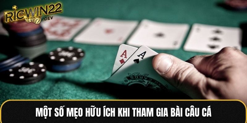 Một số mẹo hữu ích khi tham gia bài câu cá