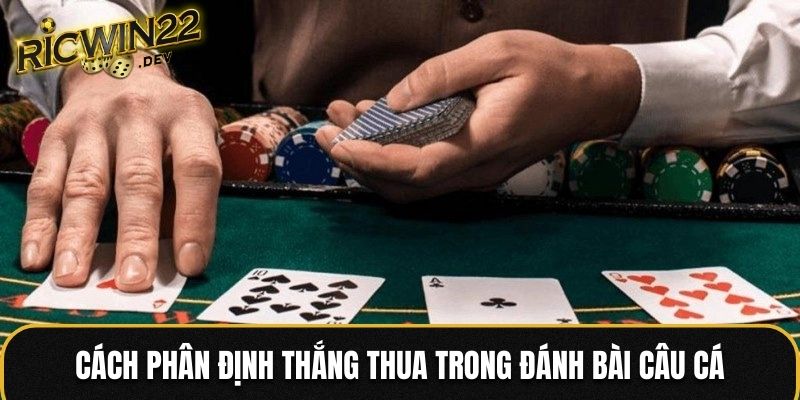 Cách phân định thắng thua trong đánh bài câu cá