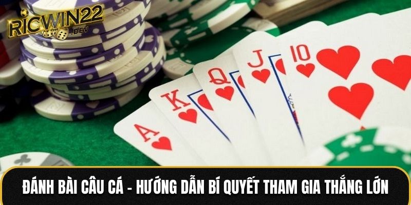 Đánh bài câu cá