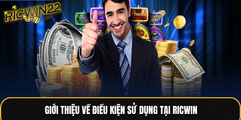 Điều kiện sử dụng RICWIN là gì?