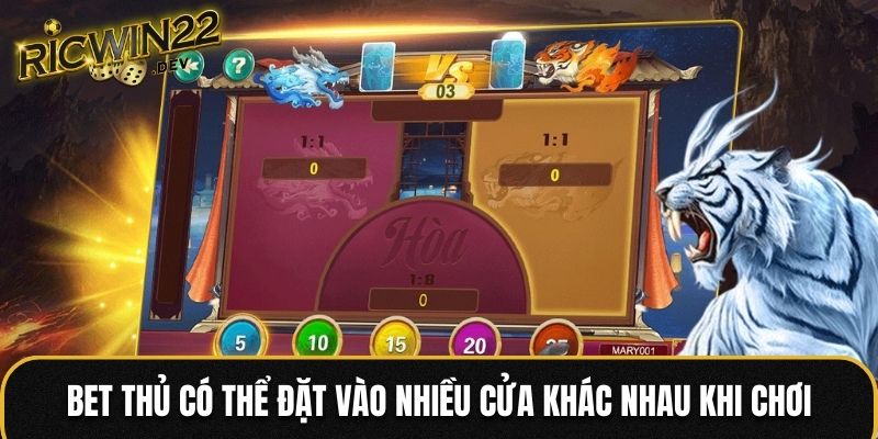 Bet thủ có thể đặt vào nhiều cửa khác nhau khi chơi