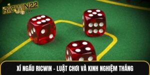 Xí ngầu