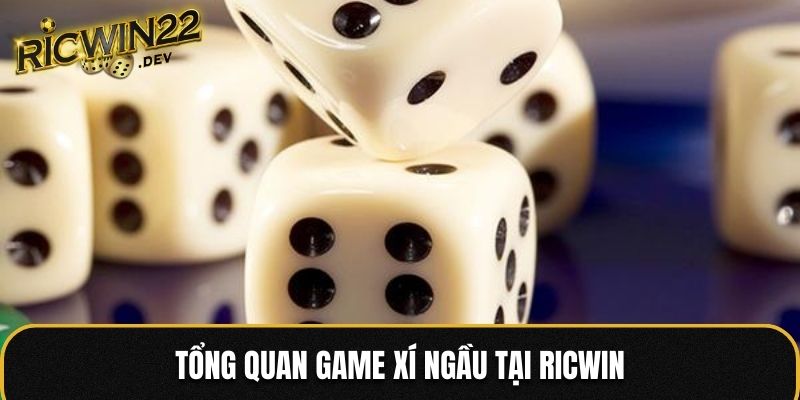 Tổng quan game Xí Ngầu tại Ricwin