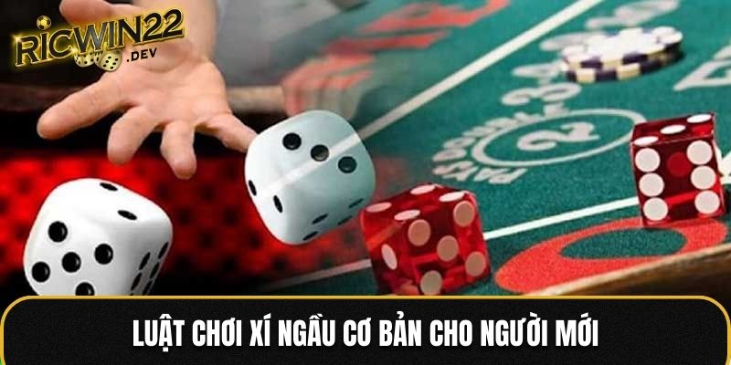 Luật chơi Xí Ngầu cơ bản dành cho người mới